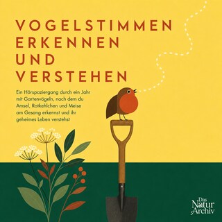 Vogelstimmen Erkennen Und Verstehen als Hörbuch