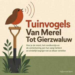 Tuinvogels Van Merel Tot Gierzwaluw - luisterboek