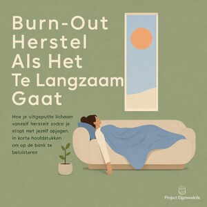 Burn Out Herstel Als Het Te Langzaam Gaat - luisterboek