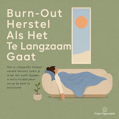 Burn Out Herstel Als Het Te Langzaam Gaat - luisterboek