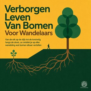 Verborgen Leven Van Bomen Voor Wandelaars - luisterboek