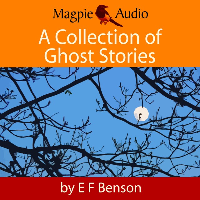 Book cover for A Collection of Ghost Stories (Unabridged)