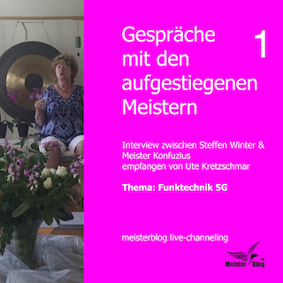 Gespräche mit den aufgestiegenen Meistern 1. Thema: Funktechnik 5G als Hörbuch