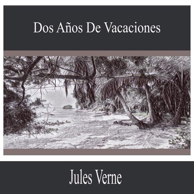 Book cover for Dos años de vacaciones