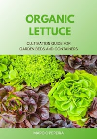 Organic Lettuce