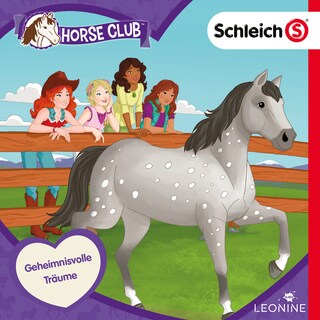 Folge 11: Geheimnisvolle Träume als Hörbuch
