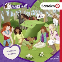 Folge 16: Nächtliche Schatten