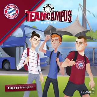 Folge 12: Teamgeist als Hörbuch