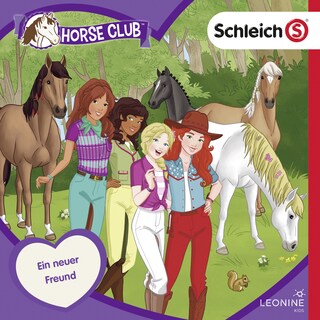 Folge 17: Ein neuer Freund als Hörbuch