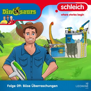 Folge 09: Böse Überraschungen als Hörbuch