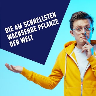 Folge 13: Die am schnellsten wachsende Pflanze der Welt als Hörbuch