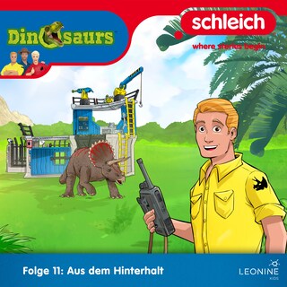 Folge 11: Aus dem Hinterhalt als Hörbuch