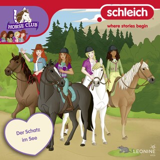 Folge 21: Der Schatz im See als Hörbuch