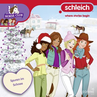 Folge 22: Spuren im Schnee als Hörbuch