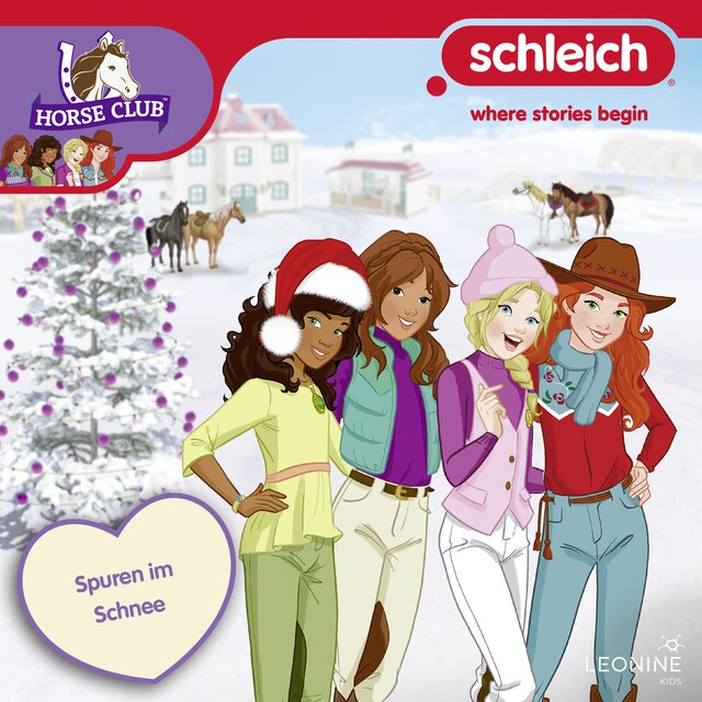 Book cover for Folge 22: Spuren im Schnee