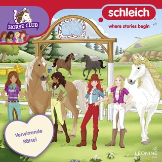 Folge 26: Verwirrende Rätsel als Hörbuch