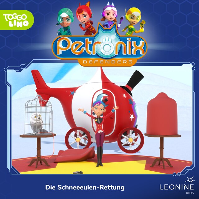 Book cover for Folge 11: Die Schneeeulen-Rettung