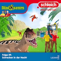 Folge 29: Schrecken in der Nacht