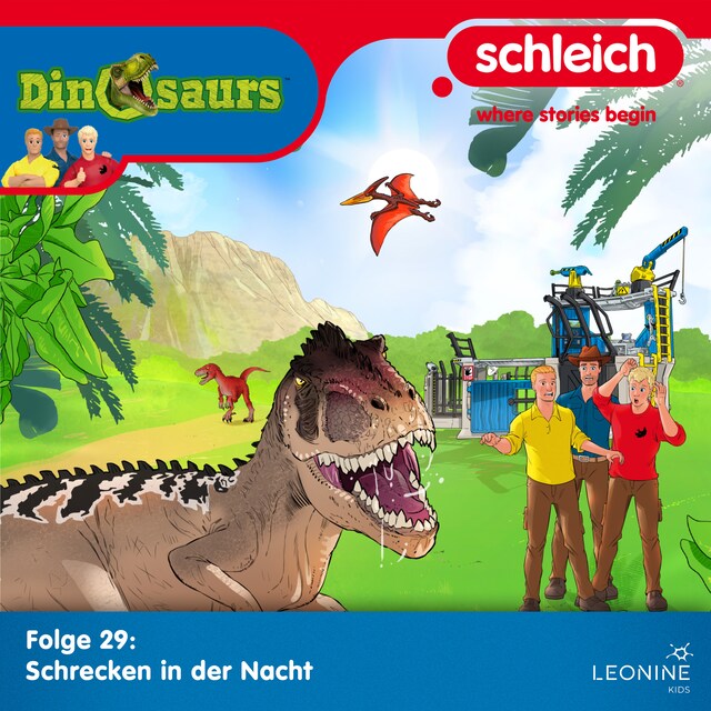 Book cover for Folge 29: Schrecken in der Nacht