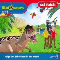 Folge 29: Schrecken in der Nacht