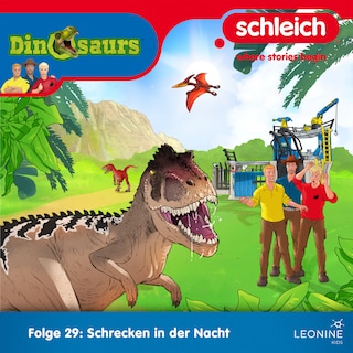 Folge 29: Schrecken in der Nacht als Hörbuch