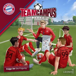 Folge 34: Die Fügung als Hörbuch