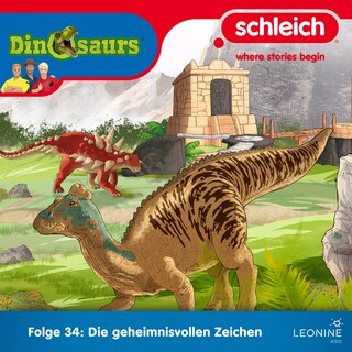 Folge 34: Die geheimnisvollen Zeichen als Hörbuch