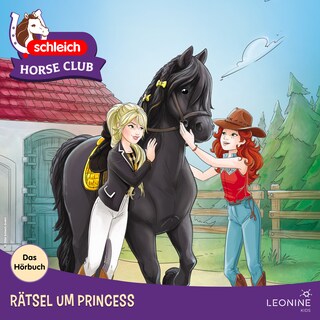 Rätsel um Princess - Das Hörbuch als Hörbuch