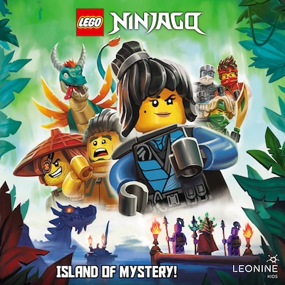 Island of Mystery (Book 11)
