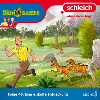 Folge 45: Eine eiskalte Entdeckung als Hörbuch