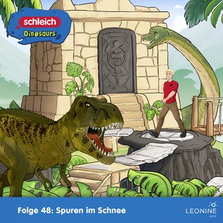 Folge 48: Spuren im Schnee als Hörbuch