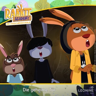 Folge 40: Die geheime Tür als Hörbuch