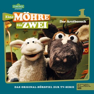 Folge 1: Der Arztbesuch (Das Original-Hörspiel zur TV-Serie) als Hörbuch