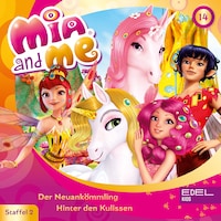 Folge 14: Der Neuankömmling / Hinter den Kulissen (Das Original-Hörspiel zur TV-Serie)