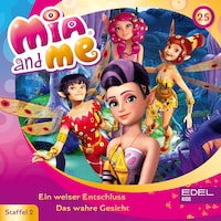 Folge 25: Ein weiser Entschluss / Das wahre Gesicht (Das Original-Hörspiel zur TV-Serie)