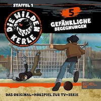 Folge 5 (Das Original-Hörspiel zur TV-Serie)