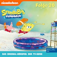 Folge 20 (Das Original-Hörspiel zur TV-Serie)