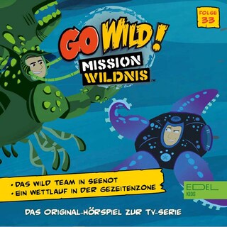 Folge 33: Das Wild Team in Seenot / Ein Wettlauf in der Gezeitenzone (Das Original-Hörspiel zur TV-Serie) als Hörbuch