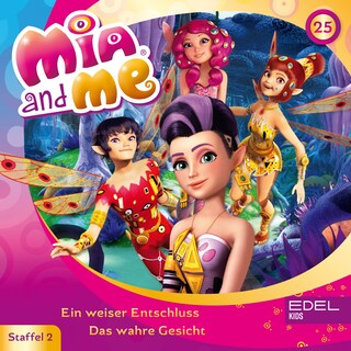 Folge 25: Ein weiser Entschluss / Das wahre Gesicht (Das Original-Hörspiel zur TV-Serie) als Hörbuch
