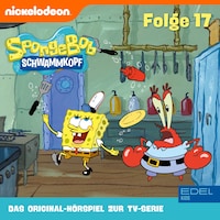 Folge 17 (Das Original-Hörspiel zur TV-Serie)