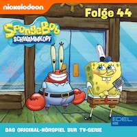 Folge 44 (Das Original-Hörspiel zur TV-Serie)