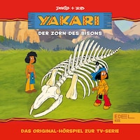 Folge 19: Der Zorn des Bisons (Das Original-Hörspiel zur TV-Serie)