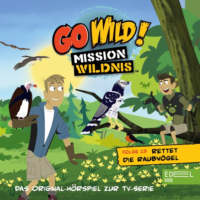 Buchcover für Folge 13: Rettet die Raubvögel / Die Regenwald-Kobolde (Das Original Hörspiel zur TV-Serie)