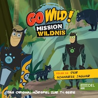 Folge 16: Das Geheimnis der Seidenspinnen / Der schwarze Jaguar (Das Original Hörspiel zur TV-Serie)