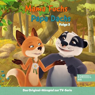 Folge 3: Das Geheimnis (Das Original Hörspiel zur TV-Serie) als Hörbuch