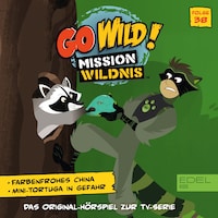 Folge 38: Farbenfrohes China / Mini Tortuga in Gefahr (Das Original Hörspiel zur TV-Serie)