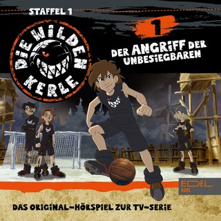 Folge 1 (Das Original-Hörspiel zur TV-Serie) als Hörbuch