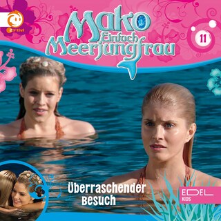 Folge 11: Überraschender Besuch (Das Original-Hörspiel zur TV-Serie) als Hörbuch