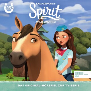 Folge 25: Wildwest-Fohlen-Sommer-Freiluft-Camp - Teil 1+2 (Das Original-Hörspiel zur TV-Serie) als Hörbuch