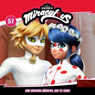 Folge 51: Zerstörung / Jubel (Das Original-Hörspiel zur TV-Serie) als Hörbuch